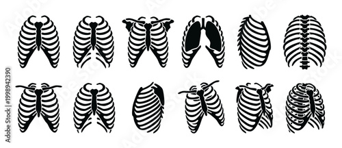 Human Rib Cage Anatomy Set, Chest Skeleton Structure Icons, Medical Vector Illustrations of Thoracic Bone System in Different Angles and Views, Flat Black Silhouette Design for Biology or Health Educa