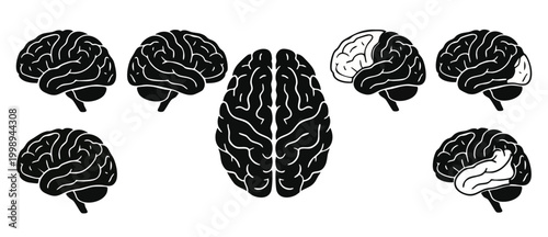 Human Brain Anatomy Icons Set, Various Views and Lobe Highlights, Vector Illustration for Neurology and Neuroscience Education, Mental Health Concept and Scientific Research Graphics on White Backgrou