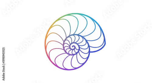 Rainbow Nautilus Shell Spiral Fibonacci Sequence Abstract Geometric Pattern
