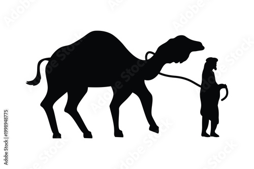 Silhouette of a man leading a camel across a white background