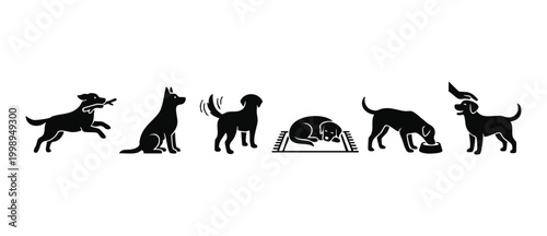 Dog silhouette icons set, various poses and activities of labrador retriever, playing running sitting sleeping eating and being petted, vector black flat illustrations isolated on a white background d