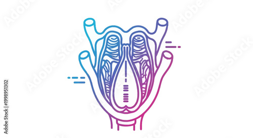 Larynx Anatomy Illustration - Vocal Cords, Pharynx, and Trachea Diagram