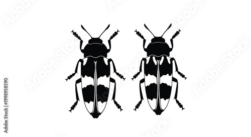 Two black and white weevil insect silhouettes facing forward on a white background silhouette high quality professional detailed modern elegant stylish clean crisp