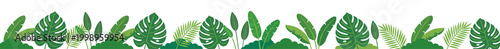 Tropical Leaves Horizontal Border with Monstera and Palm Vector