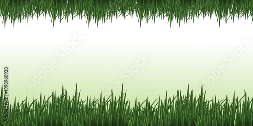 Green Grass Border Vector with Lawn, Meadow and Natural Garden Landscape Elements