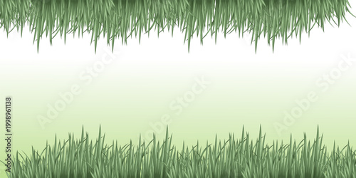 Green Grass Border Vector with Lawn, Meadow and Natural Garden Landscape Elements