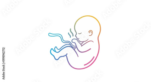 Fetus in womb, colorful outline, umbilical cord, pregnancy, new life, baby development