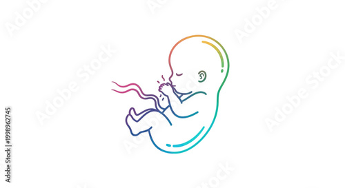 Fetus in womb, rainbow colors, umbilical cord, development, pregnancy, life, new beginning
