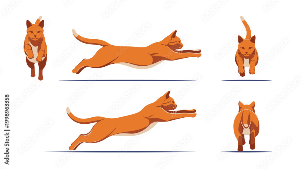 Fototapeta premium Multiple views of an orange tabby cat in various stages of a graceful jumping and pouncing motion isolated on a white background.