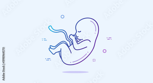 Fetus illustration, human embryo development, medical concept, abstract background