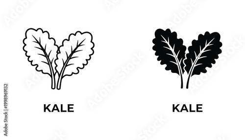 Fresh green kale leaves silhouette icon for organic vegetable farming and healthy vegan nutrition branding vector graphic design illustration