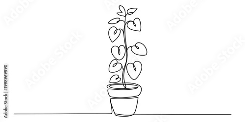Continuous single line drawing of a potted houseplant with heart shaped leaves in a minimalist modern style Vector, illustration