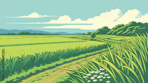 Lush green rice paddy field stretching towards distant hills, clear sky with clouds, countryside vector illustration