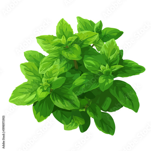 Принти на полотні Spearmint, illustrated as a clean 2D flat vector icon isolated on a white backgr