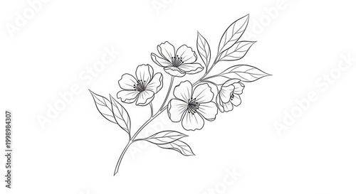 A line drawing of a branch with flowers on a white background