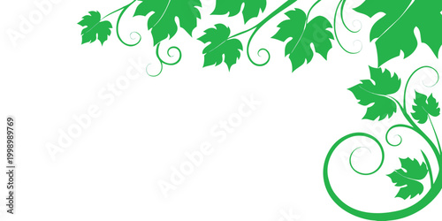 Green Ivy Leaves Border on White Background – Elegant Nature Vine Frame Design.