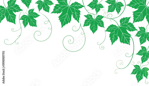 Green Ivy Leaves Border on White Background – Elegant Nature Vine Frame Design.