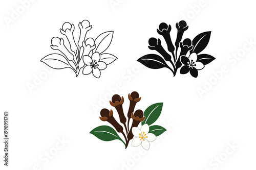 Aromatic Dried Clove Spices Vector