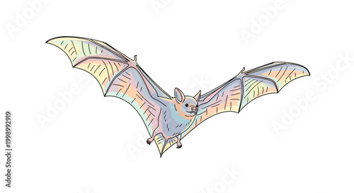 Colorful Bat Flying in Air.