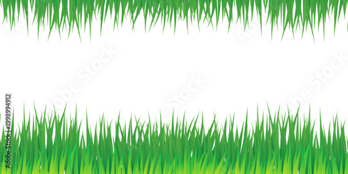 Green Grass Border Vector with Lawn, Meadow and Natural Garden Landscape Elements