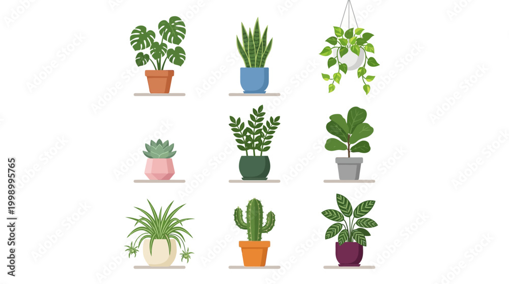 Fototapeta premium Diverse collection of popular potted houseplants for indoor decoration.