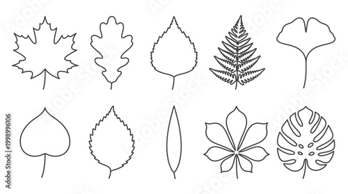 Collection of diverse leaf outlines showcasing various botanical shapes.