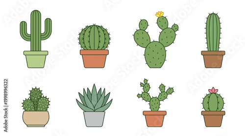 Foto Collection of eight potted cactus plants in various shapes and sizes 1