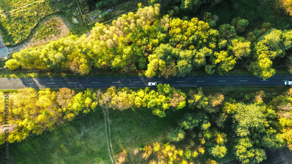 Fototapeta premium Road through forest connecting rural areas