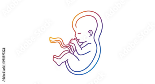 Colorful outline of a fetus in the womb, connected to umbilical cord, symbolizing growth and development