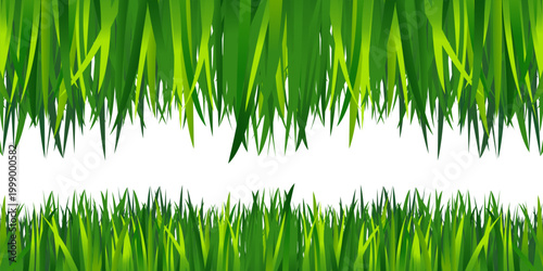 Green Grass Border Vector with Lawn, Meadow and Natural Garden Landscape Elements