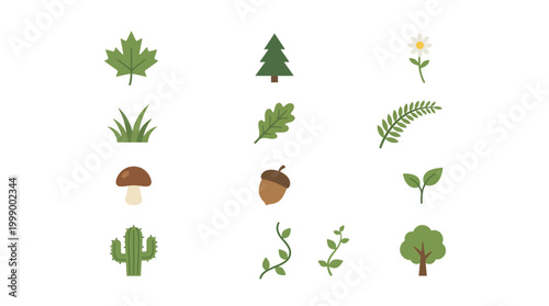Konstfotografi Nature Icons: Forest Plants, Leaves, Trees, Mushroom, Acorn, Flower, Grass, Cact
