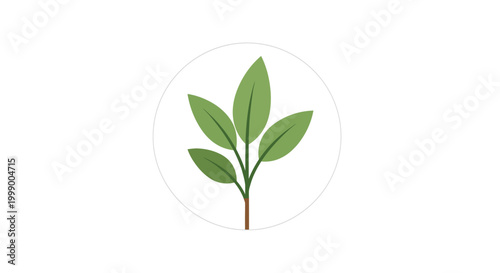 Minimalist flat vector icon of a green potted garden plant featuring lush leaves in a terracotta clay pot, isolated on a white background for modern graphic design and web interface decoration.