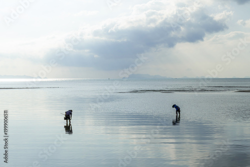 Two individuals are engaged in gathering seafood during low tide, their silhouettes reflected in the tranquil water. The peaceful coastal scene shows traditional labor under a soft sky.
