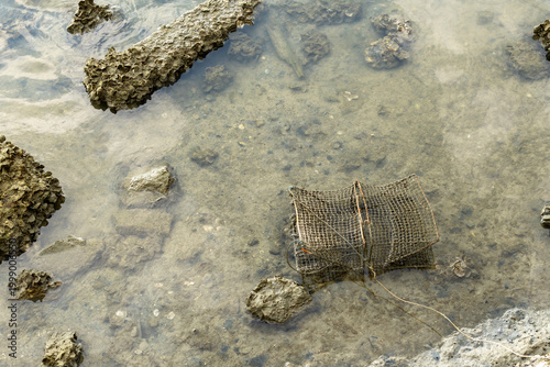 A wire crab trap is placed in shallow, clear water near a rocky coastline, intentionally set for catching crabs. The прозрачная water reveals a sandy-muddy bottom and scattered rocks.