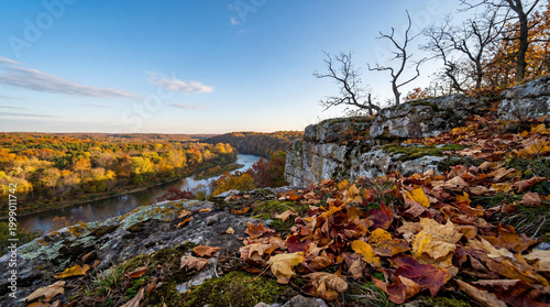 Rugged autumn cliff overlooks serene landscape dotted with scattered dry leaves and earthy textures
