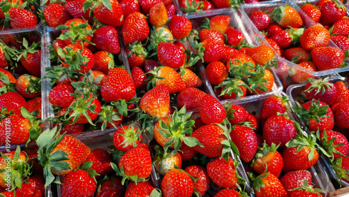 Fresh ripe strawberries in transparent plastic containers. Juicy red berries, top view. Farm strawberry harvest at the market. Bright red berries in packaging, ready for sale. Healthy eating concept