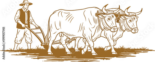 Vintage Farmer Plowing Field with Two Oxen, Traditional Agricultural Scene, Retro Hand Drawn Style Vector Illustration