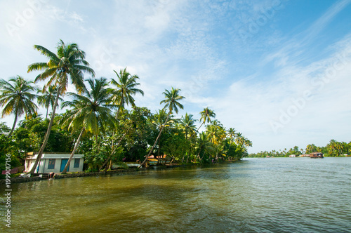 Tableau sur toile Landscape of Alleppey backwaters, Kerala, India.