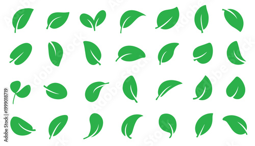 Simple minimalist variety leaf icon collection
