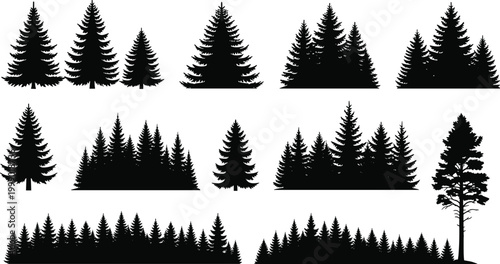 Collection of pine tree silhouettes and evergreen forest border elements featuring various coniferous spruce trees for nature landscape conservation and outdoor environmental design projects.