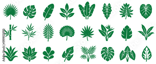 Tropical leaves silhouette collection design