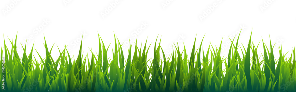 Fototapeta premium Meadow silhouette with green grass, plants on plain. Panoramic summer lawn landscape with herbs, various weeds. Herbal border, frame element. Black horizontal banners. Vector illustration