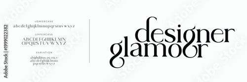 Elegant font, glamour type and luxury typeface, vector royal English alphabet. elegant classic letters in minimal line 

