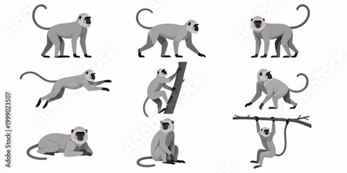 Nine illustrations of monkeys in various poses on a tree branch or on the ground