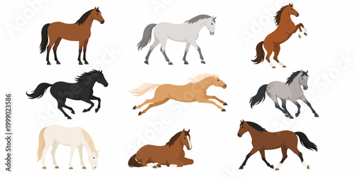 Several horses run freely in a field with one lying down