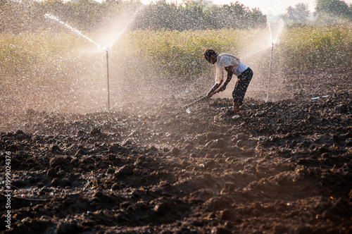 Young Indian Farmer Digging In the field in front of sprinklers, at sunset