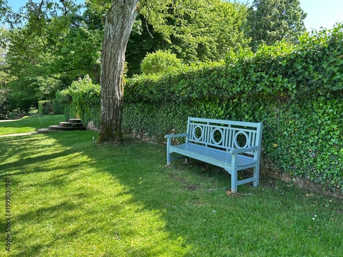 The bench in the park