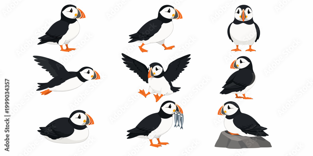 Fototapeta premium Several puffins are flying and standing on a rocky surface
