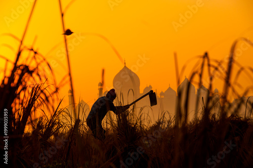 Taj Mahal at sunrise on the Yamuna River