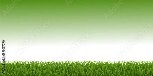 Green Grass Border Vector with Lawn, Meadow and Natural Garden Landscape Elements